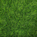 Трава искусственная Eco Green - 35 мм, в рулоне 2 метра Трава искусственная Eco Green - 35 мм, в рулоне 2 метра